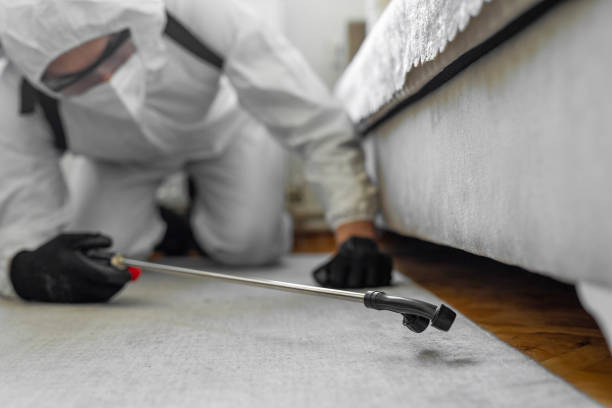 Professional Ant Control technician working in Russells Point, OH
