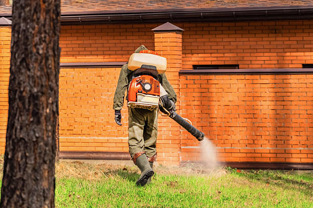 Trusted Cockroach Control service in Russells Point, OH - Nex Pest Control